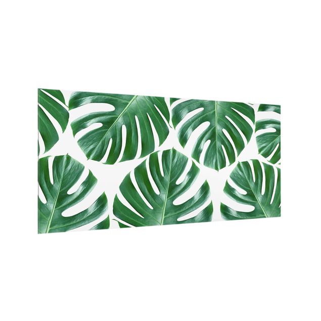 Spritzschutz Glas - Tropische grüne Blätter Monstera - Querformat - 2:1