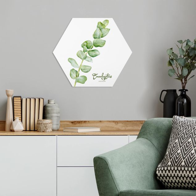 Hexagon Bild Forex - Aquarell Botanik Eukalyptus