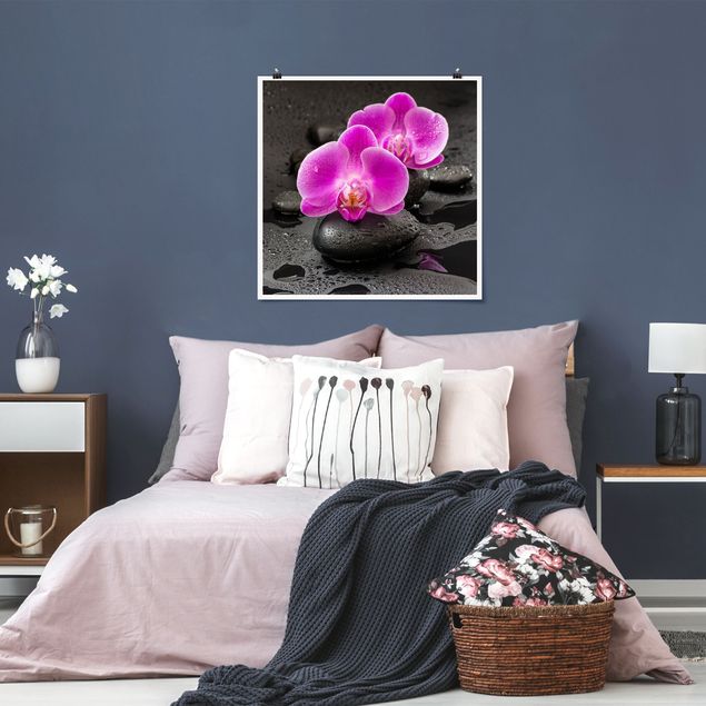Poster - Pinke Orchideenblüten auf Steinen mit Tropfen - Quadrat 1:1