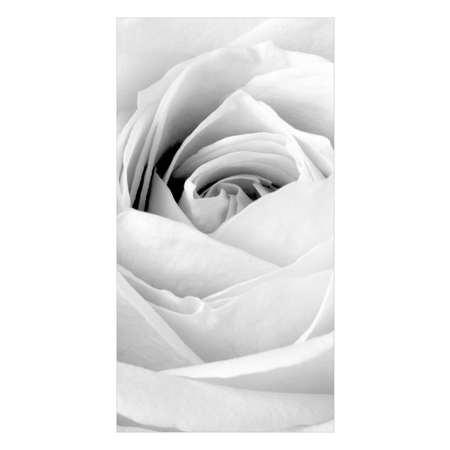 Duschrückwand - Close Up Rose