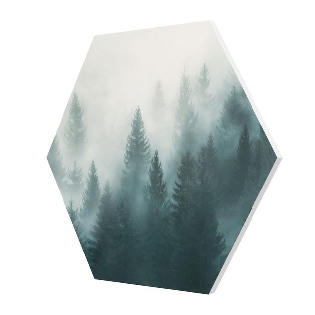Hexagon Bild Forex - Nadelwald im Nebel