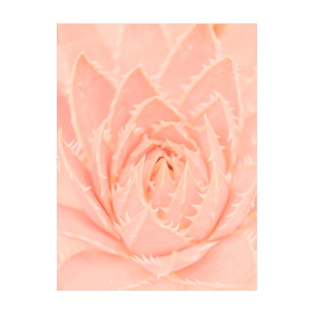 Teppich Natur Rosa Blütenzauber Agave