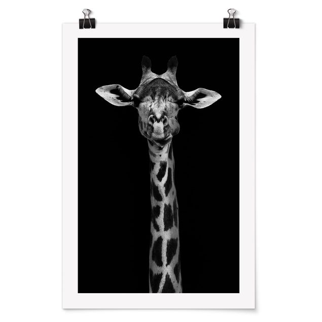Poster - Dunkles Giraffen Portrait - Hochformat 3:2
