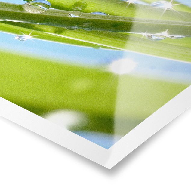 Poster - Fresh Green - Panorama Querformat