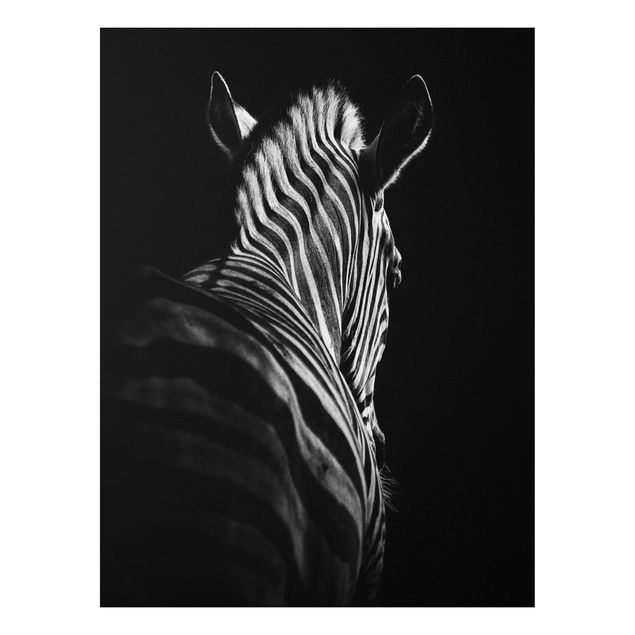 Forex Fine Art Print - Dunkle Zebra Silhouette - Hochformat 4:3