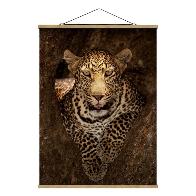 Stoffbild mit Posterleisten - Leopard ruht auf einem Baum - Hochformat 3:4