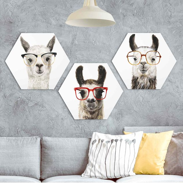 Hexagon Bild Forex 3-teilig - Hippe Lamas mit Brille Set I