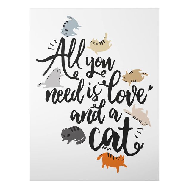 Alu-Dibond Bild - All you need is love and a cat