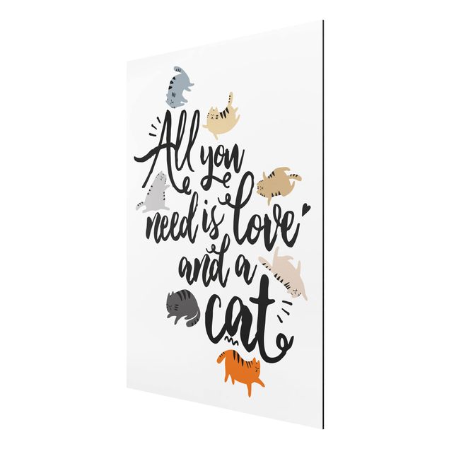 Alu-Dibond Bild - All you need is love and a cat