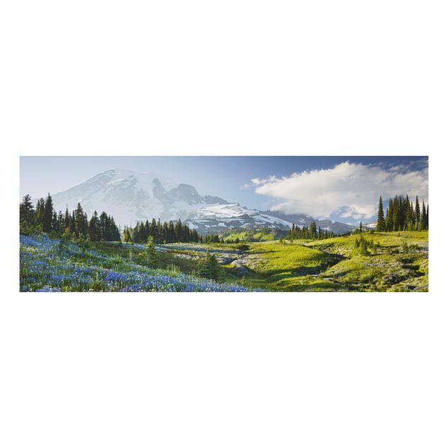 Alu-Dibond Bild - Bergwiese mit blauen Blumen vor Mt. Rainier