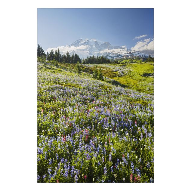 Alu-Dibond Natur & Landschaft - Bergwiese mit roten Blumen vor Mt. Rainier