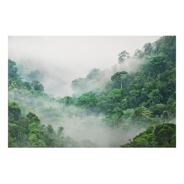 Alu-Dibond Bild - Dschungel im Nebel