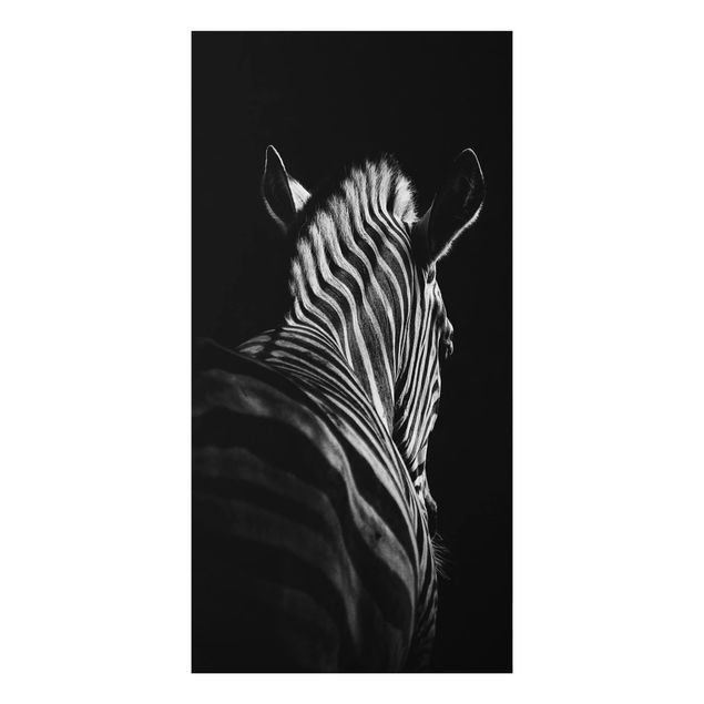 Aluminium Print - Dunkle Zebra Silhouette - Hochformat 2:1