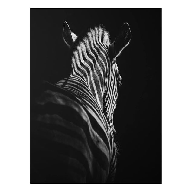 Aluminium Print - Dunkle Zebra Silhouette - Hochformat 4:3