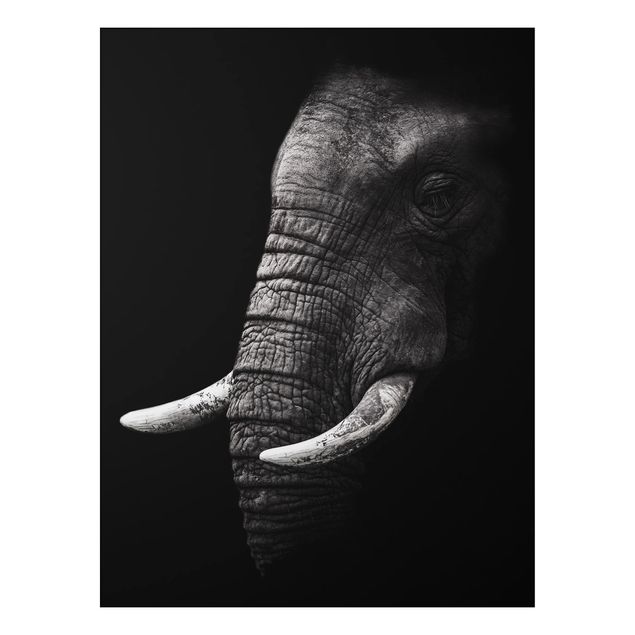 Aluminium Print - Dunkles Elefanten Portrait - Hochformat 4:3