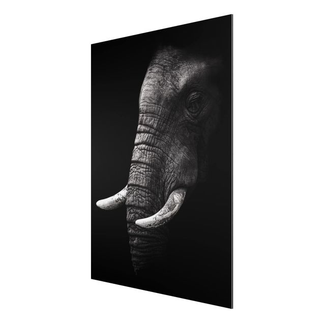 Aluminium Print - Dunkles Elefanten Portrait - Hochformat 4:3