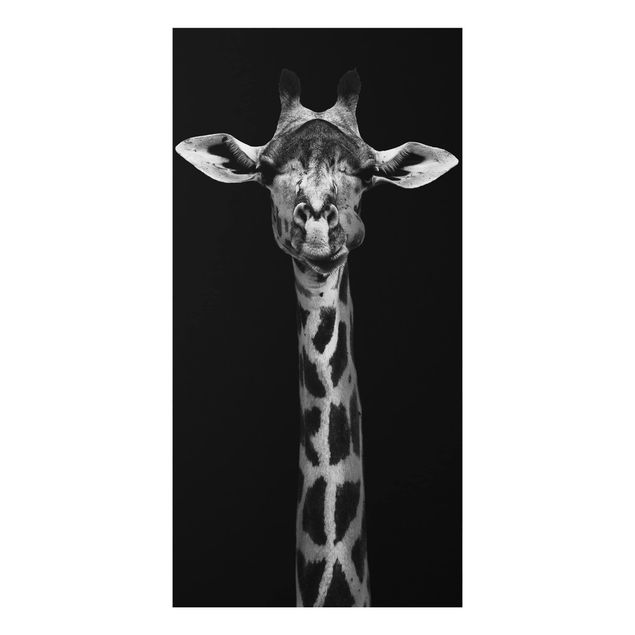Aluminium Print - Dunkles Giraffen Portrait - Hochformat 2:1
