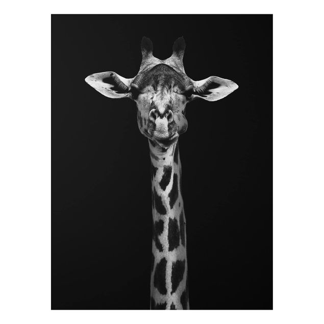 Aluminium Print - Dunkles Giraffen Portrait - Hochformat 4:3