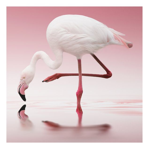 Alu-Dibond Bild - Flamingo Dance
