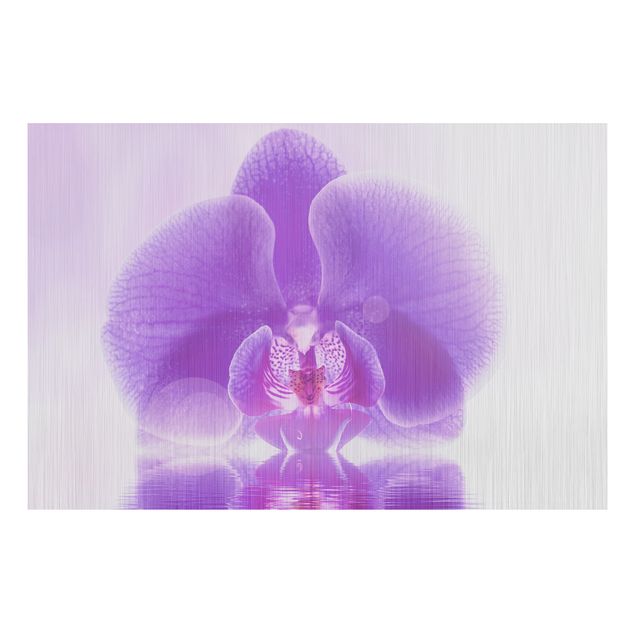 Alu-Dibond Bild - Lila Orchidee auf Wasser