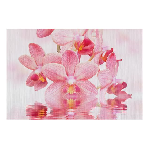 Alu-Dibond Bild - Rosa Orchideen auf Wasser