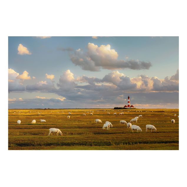 Alu-Dibond Bild - Nordsee Leuchtturm mit Schafsherde