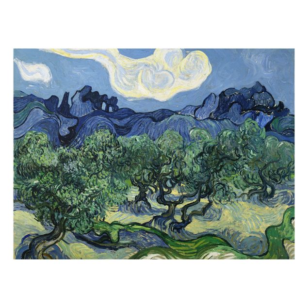 Alu-Dibond Bild - Vincent van Gogh - Olivenbäume