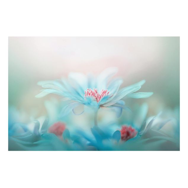 Alu-Dibond Bild - Zarte Blüten in Pastell