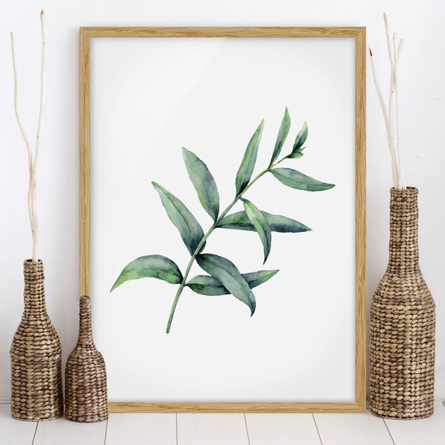 Bild mit Rahmen - Aquarell Eucalyptus I - Hochformat