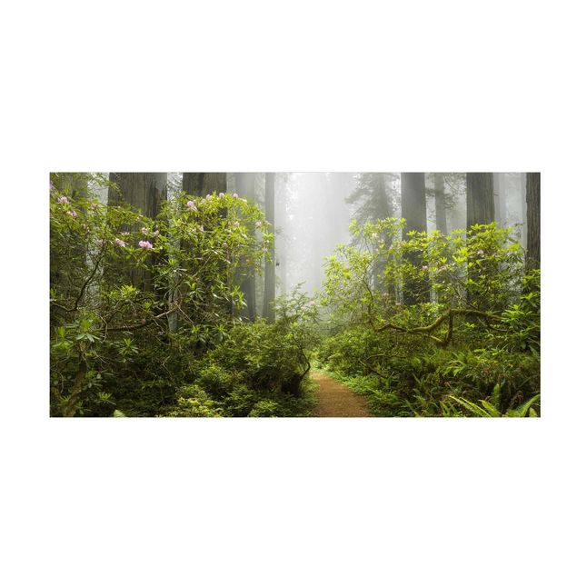 Teppich grün Nebliger Waldpfad