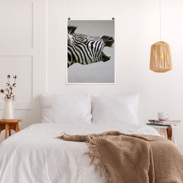 Poster - Brüllendes Zebra - Hochformat 3:4