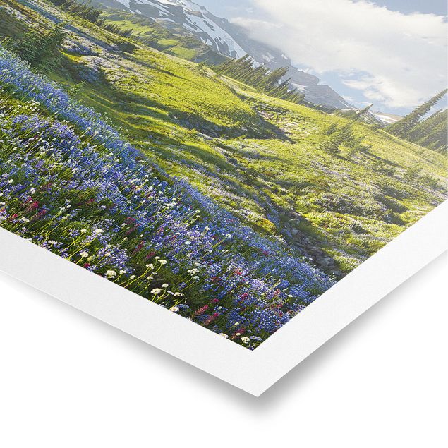 Poster - Bergwiese mit blauen Blumen vor Mt. Rainier