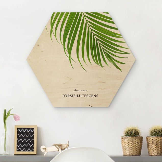 Hexagon Bild Holz - Tropisches Blatt Areca Palme