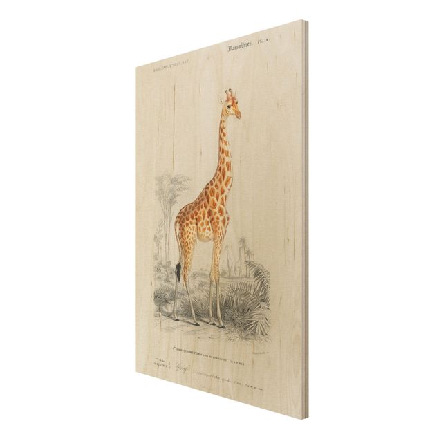 Holzbild - Vintage Lehrtafel Giraffe - Hochformat 3:2