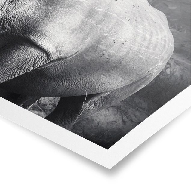 Poster - Lonesome Rhinoceros - Panorama Querformat