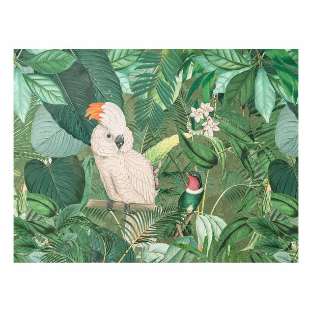 Forex Fine Art Print - Vintage Collage - Kakadu und Kolibri - Querformat 3:4