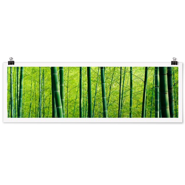 Poster - Bambuswald - Panorama Querformat