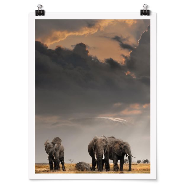 Poster - Elefanten der Savanne - Hochformat 3:4