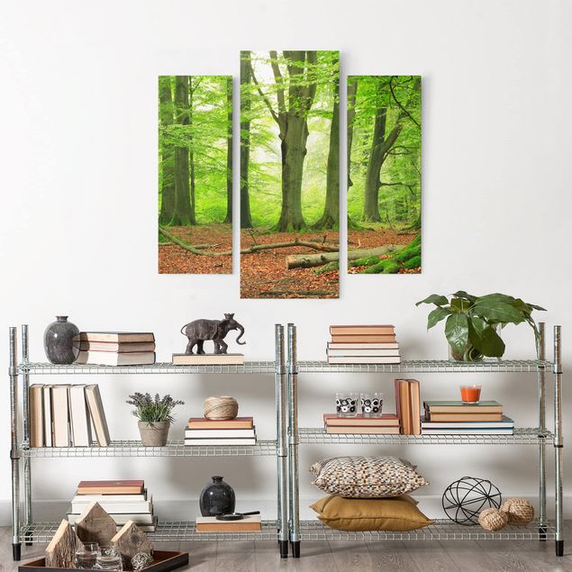 Leinwandbild 3-teilig - Mighty Beech Trees - Galerie Triptychon
