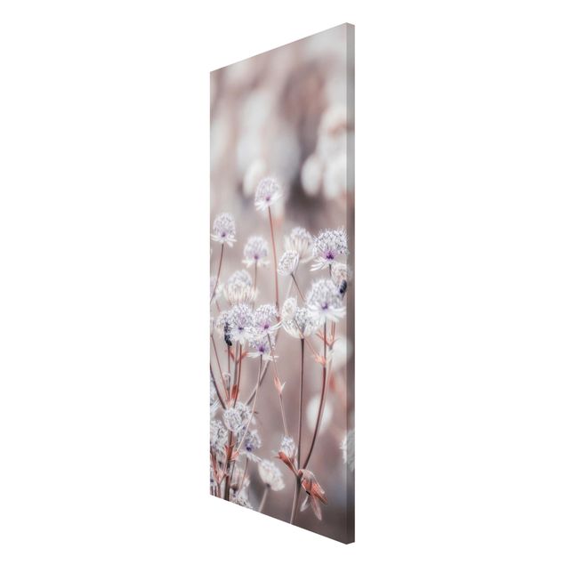 Magnettafel - Federleichte Wildblumen - Panorama Hochformat