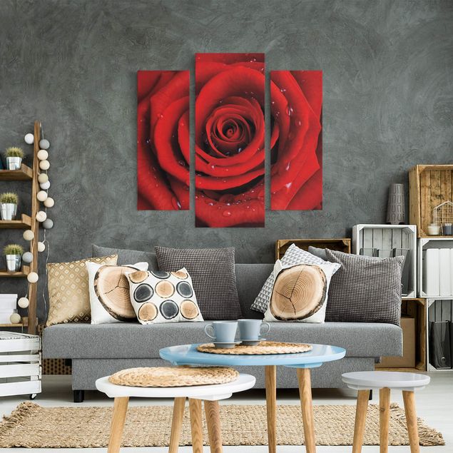 Leinwandbild 3-teilig - Rote Rose mit Wassertropfen - Galerie Triptychon