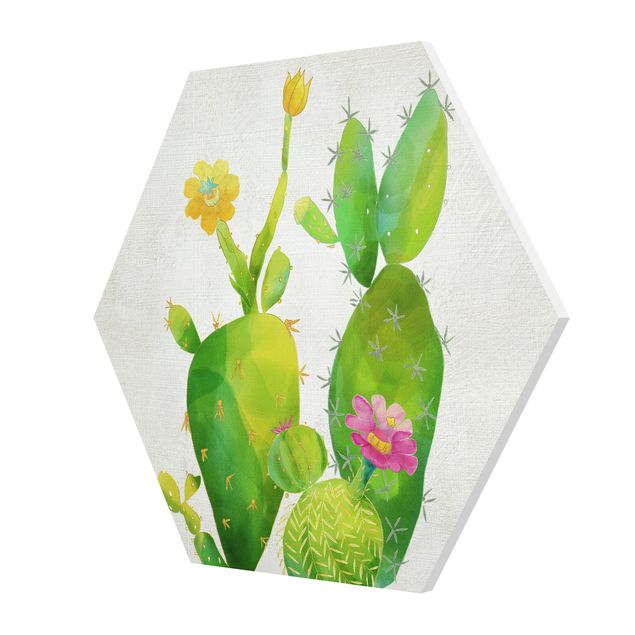 Hexagon Bild Forex - Kaktusfamilie rosa gelb