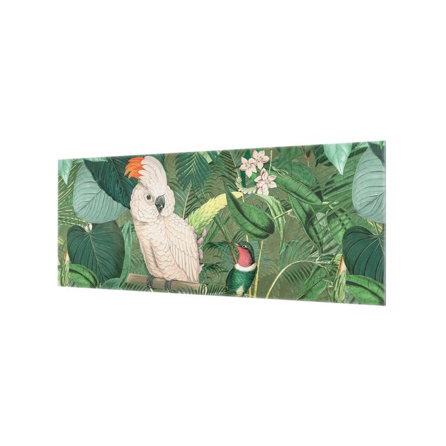 Spritzschutz Glas - Vintage Collage - Kakadu und Kolibri - Panorama - 5:2