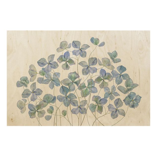 Holzbild - Blaue Hortensienblüten - Querformat 2:3