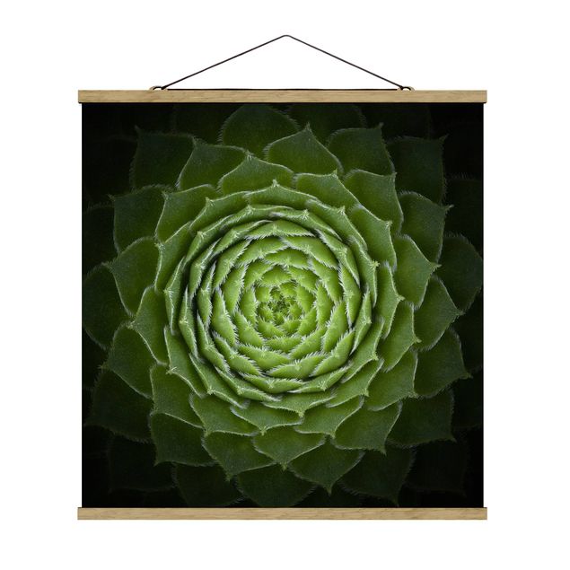 Stoffbild mit Posterleisten - Mandala Sukkulente - Quadrat 1:1