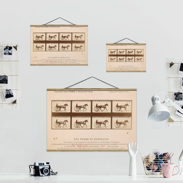 Stoffbild mit Posterleisten - Eadweard Muybridge - Das Pferd in Bewegung - Querformat 3:2