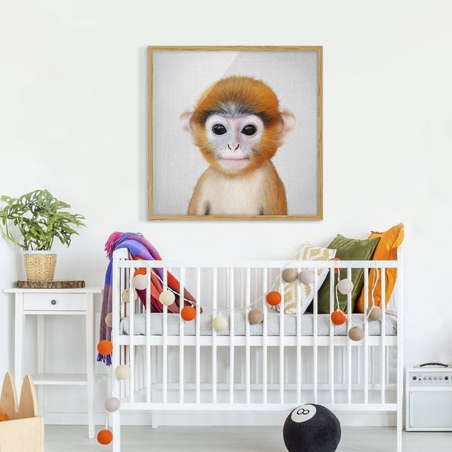 Bild mit Rahmen - Baby Affe Anton - Quadrat - 1:1