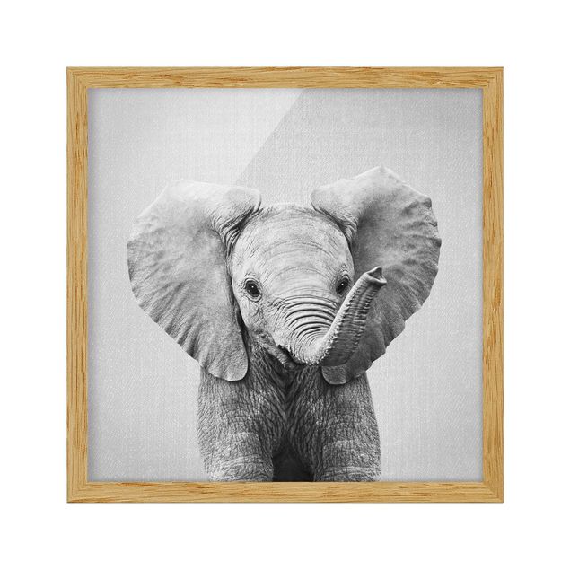 Bild mit Rahmen - Baby Elefant Elsa Schwarz Weiß - Quadrat - 1:1