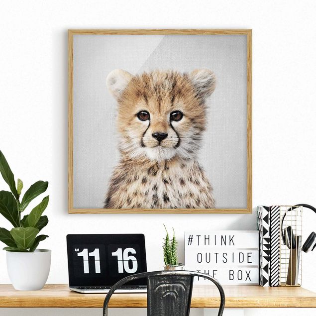 Bild mit Rahmen - Baby Gepard Gino - Quadrat - 1:1