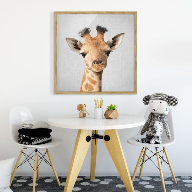 Bild mit Rahmen - Baby Giraffe Gandalf - Quadrat - 1:1